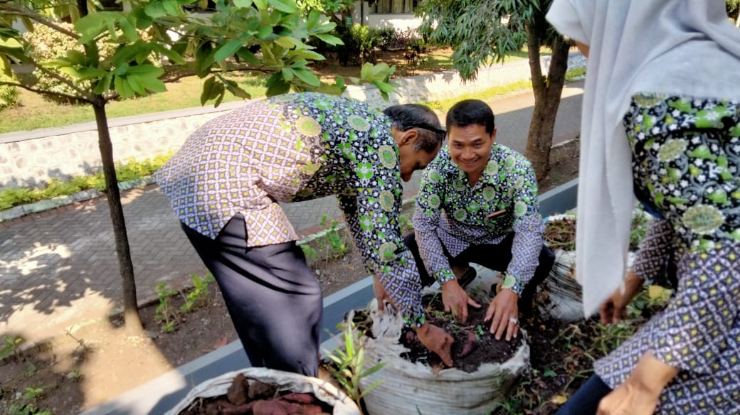 FMIPA UM Panen Ubi Jalar Ungu, Dukung Green Campus dan Diversifikasi Pangan