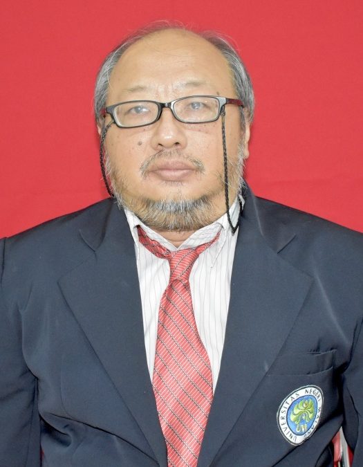 Tjang Daniel Chandra, M.Si, Ph.D.